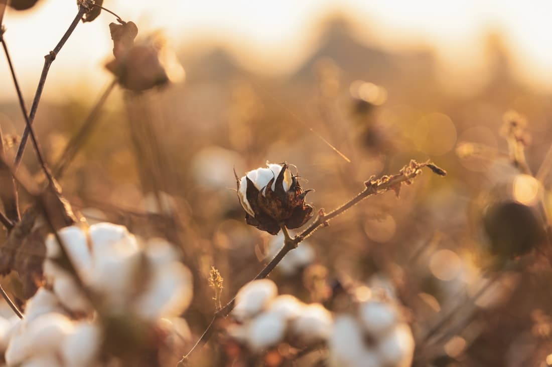 Tier 0–4 supply chain mapping: A practical guide